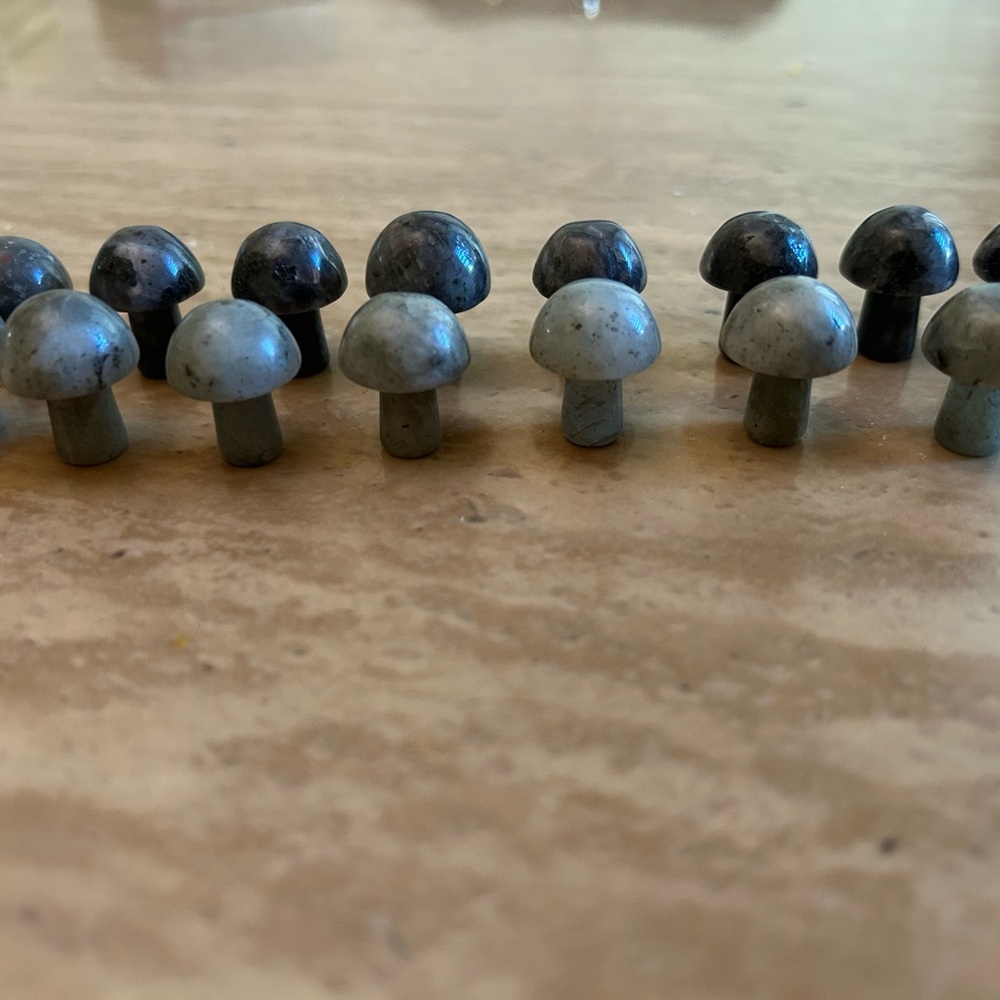 Gray and Black Stone Mushroom Decor (1 buyer gets all 15 miniature stones)